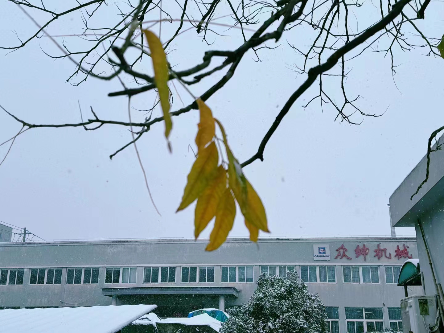 冬天的第一场雪